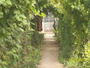 VAND  CASA  URGENT