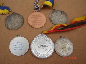6 medalii deosebite din bronz-zinc (M8)