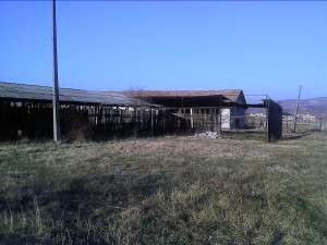 Ferma Zootehnica