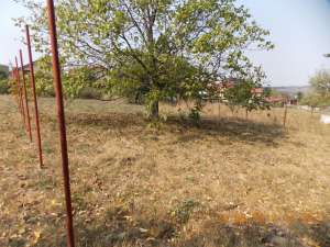 Teren Tocile 500 mp Sibiu