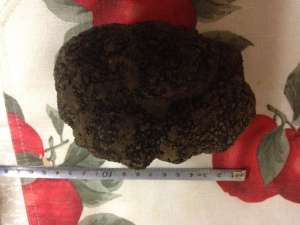 Trufa 395 g