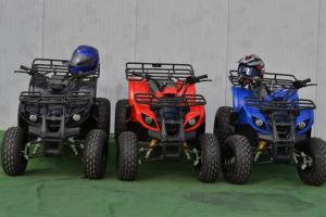 Atv Ventus 2x4