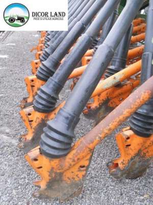 Semanatoare Paioase Amazone D8 - 40 Super