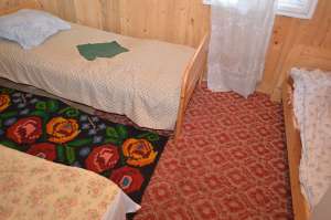 Vand cabana din lemn, zona salard