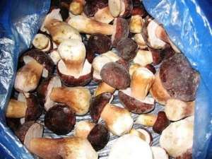 Trufe negre
