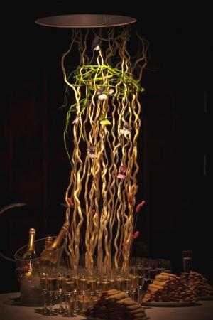 Flori/ plante/ copaci