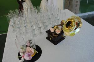 Instrumente si aparate muzicale