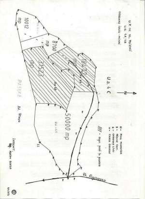 DEVA,  Hunedoara,  3.000 euro /HA,  PADURE 100 ANI,  50.000 mp (5 hectare),  posibilitate exploatare