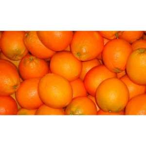 portocale clementine si mandarine de grecia