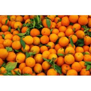 portocale clementine si mandarine de grecia