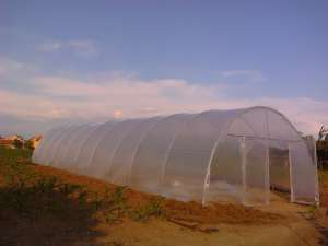 solarii pt legume 1450 lei