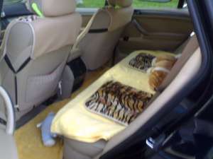vand bmw x5