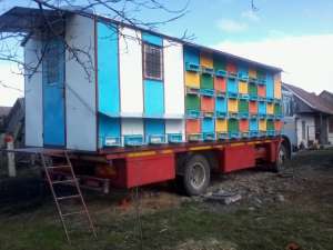 Vand camion apicol