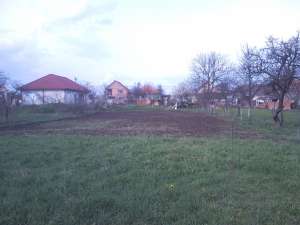 teren pentru constructie