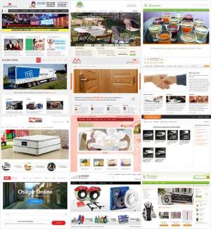 Web Design Profesional
