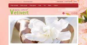 Web Design Profesional