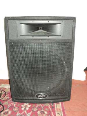 Vand boxe Peavey ST15
