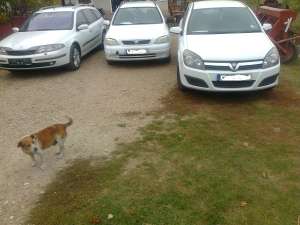 dezmembrez   opel astra G opel astra H renault laguna2