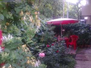 Particular vand apartament 2 camere Otopeni/Magura