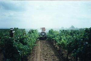 POMPA PURTATA PE TRACTOR PENTRU STROPIT VIE SI LIVADA