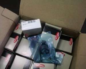 Kit reparatie injectoare delphi ( duze, diuze,  supape retur) fabricatie 2013