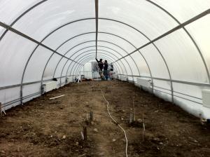 arce si arcade solar solarii constructii sere legume