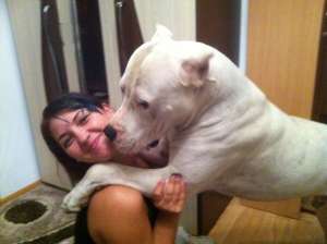 Dog argentinian pt monta campion european