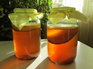 Cultura Kombucha