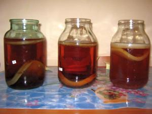 Cultura Kombucha