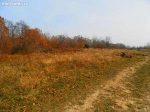 teren 3, 5 Ha