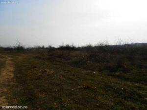 teren 3, 5 Ha