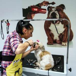 salon frizerie canina-49 ron
