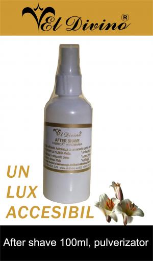 Lotiuni si After Shave El Divino Parfumuri