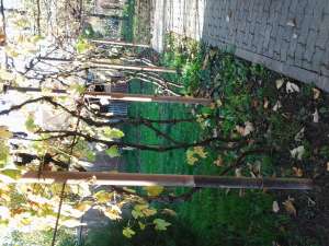 Vinzare