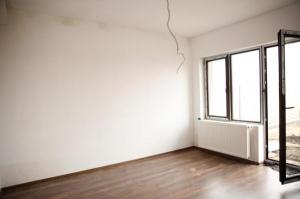 Vila Clincenil Olteni 2