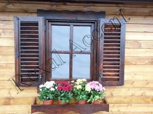 Constructii Case si cabane din lemn si pe structura de lemn