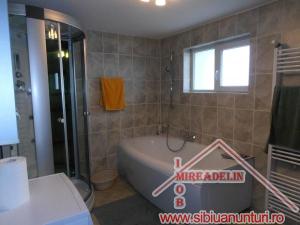 VAND PENTHOUSE DE  LUX,  ZONA MIHAI VITEAZU