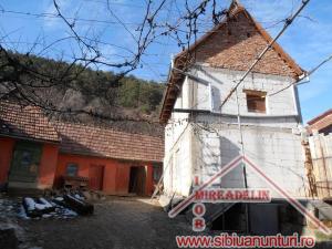 VAND CASA 3 CAMERE IN RASINARI ,  ZONA CENTRALA