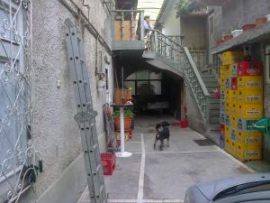 oferta vanzare spatiu comercial  M.Weiss
