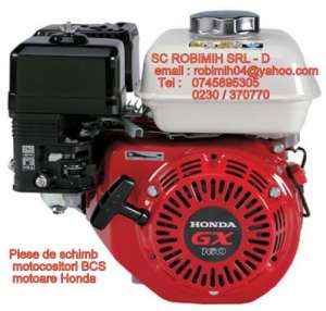 Piese de schimb pentru Carpatina ,  Cosana ,  Rotax ,  BCS si motocositori noi si sh