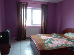 3 camere Ciprian Porumbescu