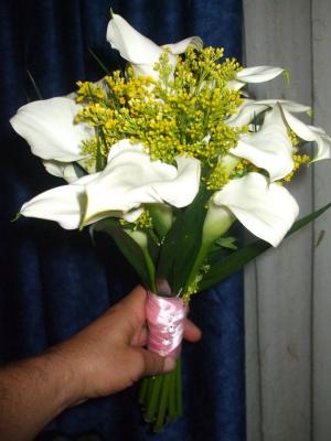 BUCHET MIREASA/NASA