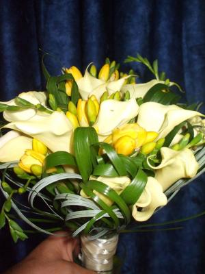 BUCHET MIREASA/NASA