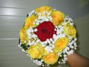 BUCHET MIREASA/NASA