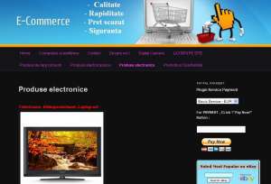 Creare si Suport tehnic Web-Site-uri si Blog-uri