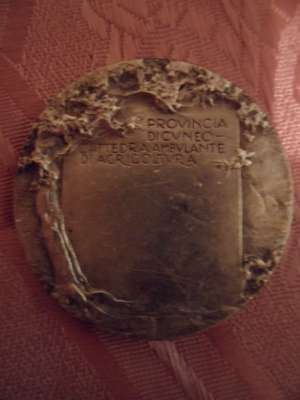 vand medalie de argint