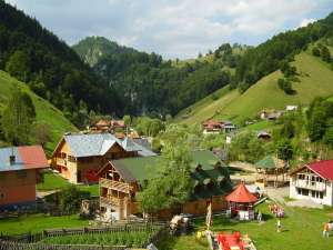 Vand/schimb cabana cu apartament