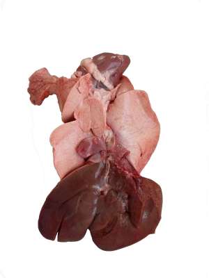 Organe de miel congelate