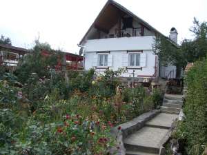 Inchiriez cabana in Sibiu