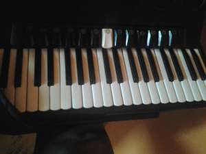 Vind Acordeon marca Scandalli, 120 basi
